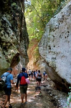 IMG F0c8a01fe4ad058736630fc384e7d106 V