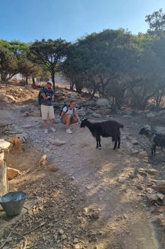 20250914 093808Syros Site Gallery