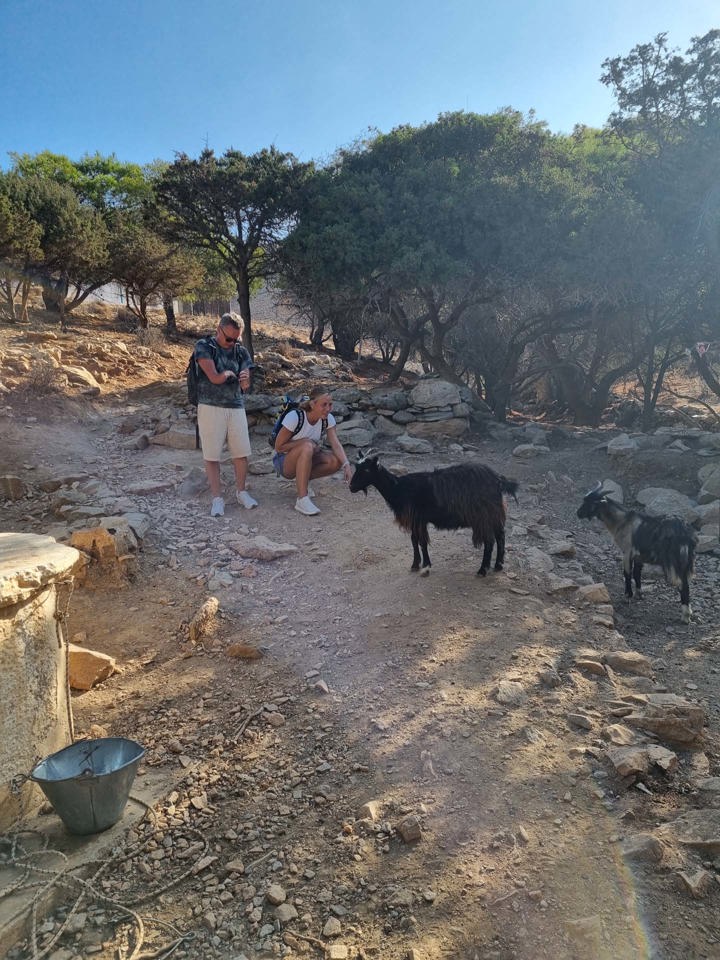 20250914 093808Syros Site Gallery