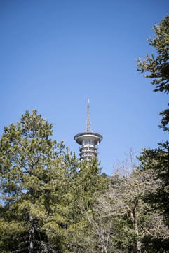 Dsc04081sitegallery