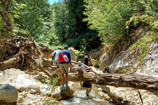 IMG B7786ac8058214879de4cdf8cf166a7e V