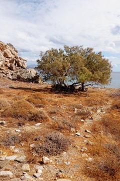 2025 12 11 12 17 22 863