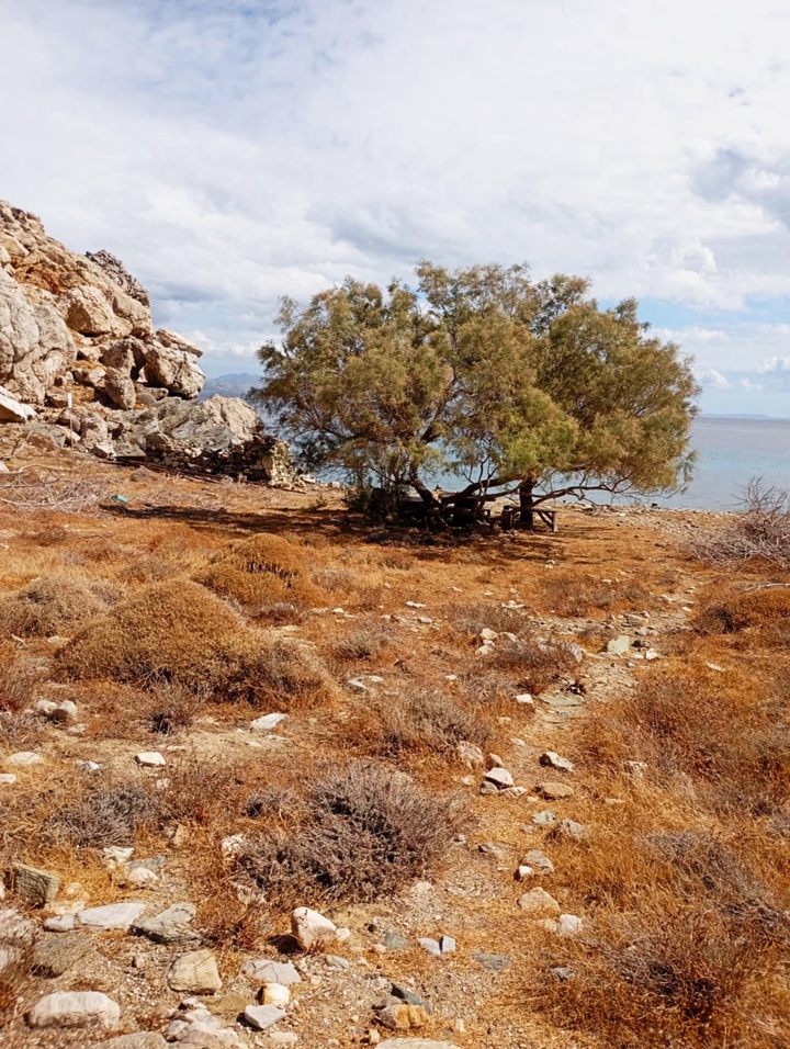 2025 12 11 12 17 22 863