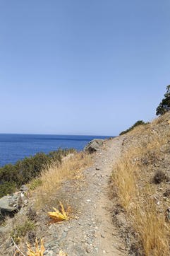 IMG 20250510 112203 Syros Beaches West Hike Site Gallery