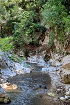 IMG Cb61badedb771628467a8fa196a3cb4a V