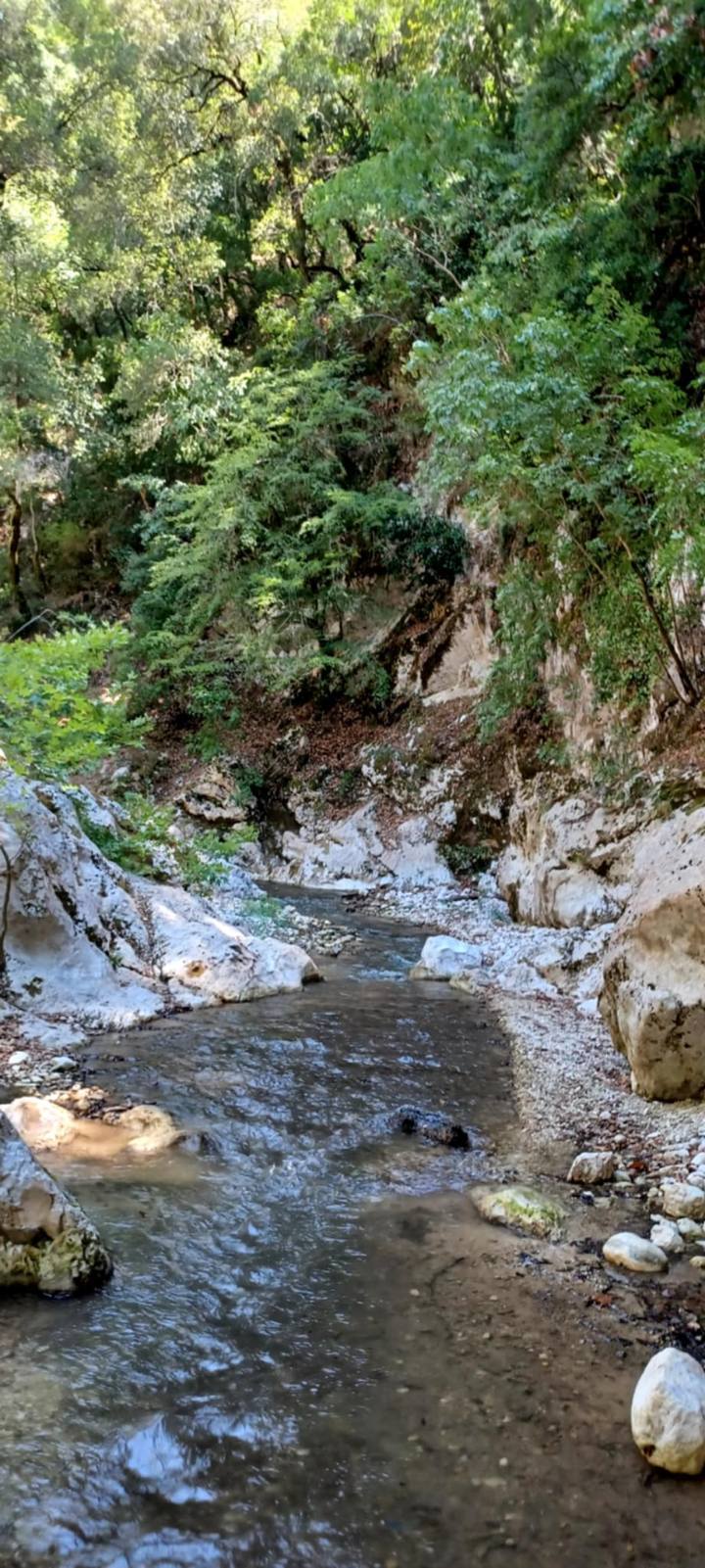 IMG Cb61badedb771628467a8fa196a3cb4a V