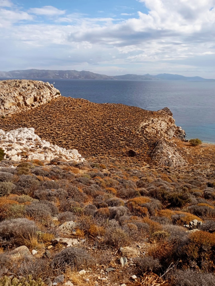 2025 12 11 12 17 23 240