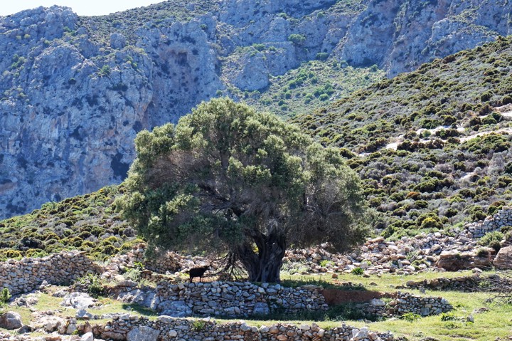 Sail & Hike Dodecanese (51)