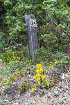 Dsc05800sitegallery