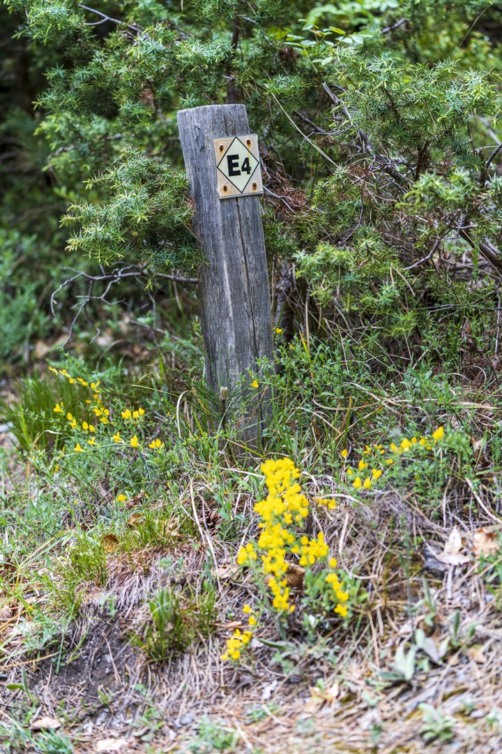 Dsc05800sitegallery