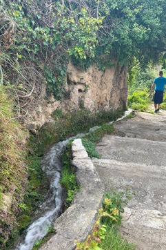 IMG 5838 Picturesque Naxos Hike Sitegallery 22