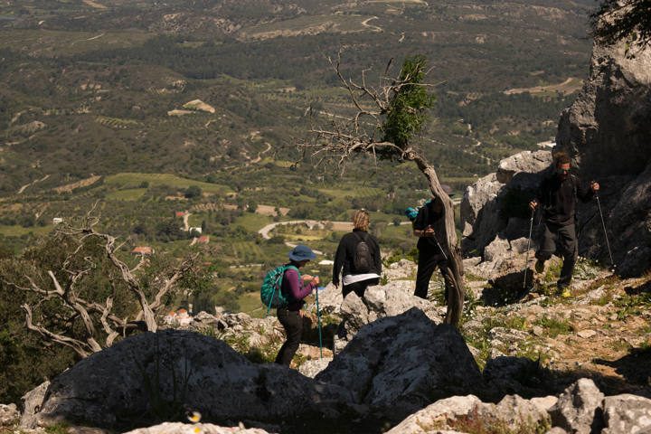 HIKING PROFITIS ILIAS SELECTION (3)Site Gallery