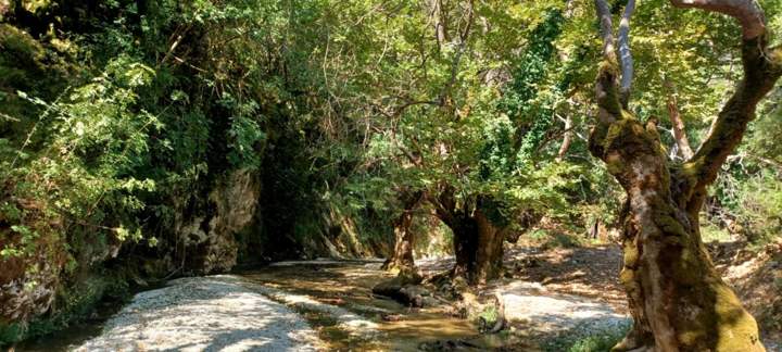 IMG 671Fdf962d937e3012493636acbd2ca4 V