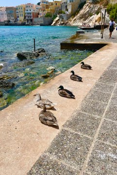 IMG 0590Syros Site Gallery