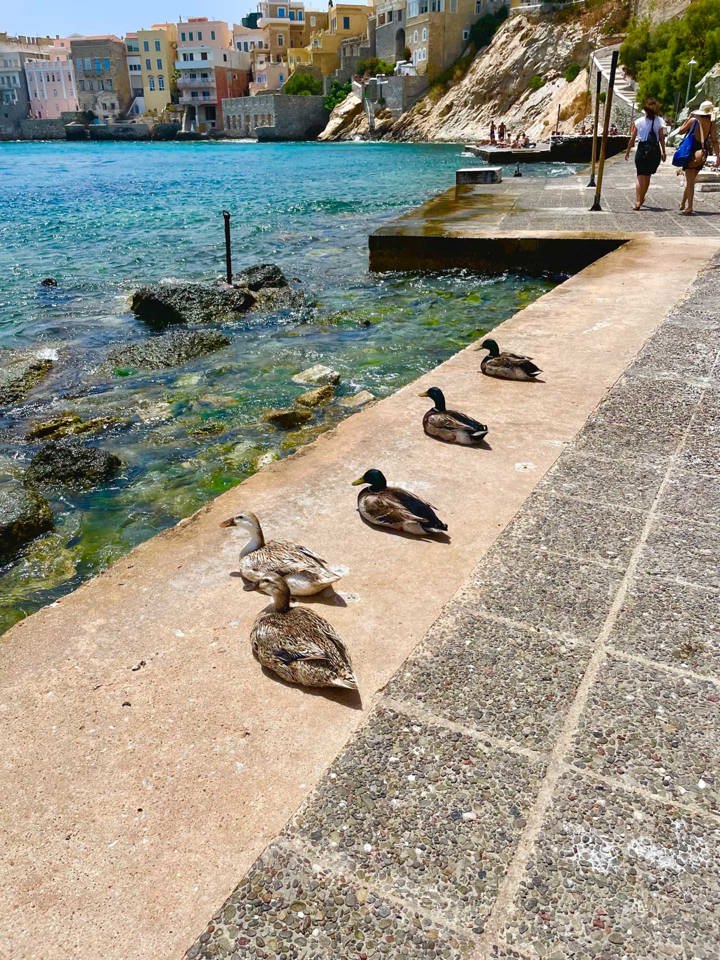 IMG 0590Syros Site Gallery