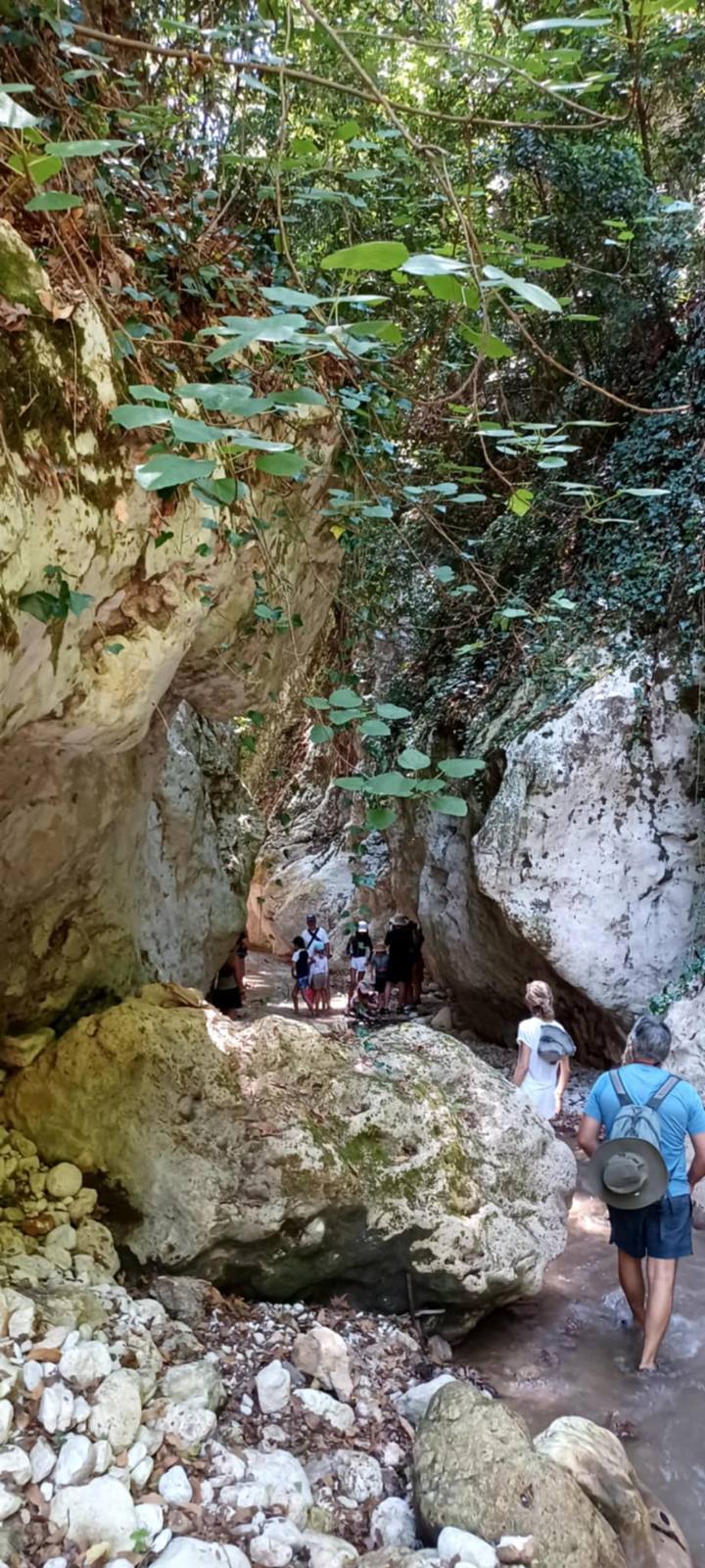 IMG 147C238ef26a851cd8148c7902fb0990 V