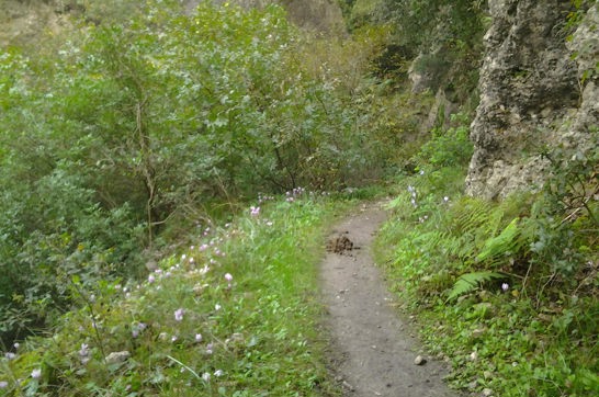 2014 10 15 17.13.57Untitled