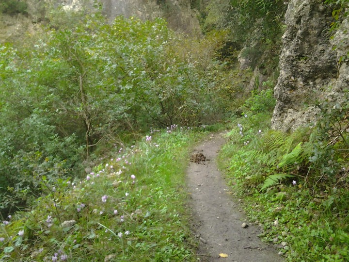 2014 10 15 17.13.57Untitled