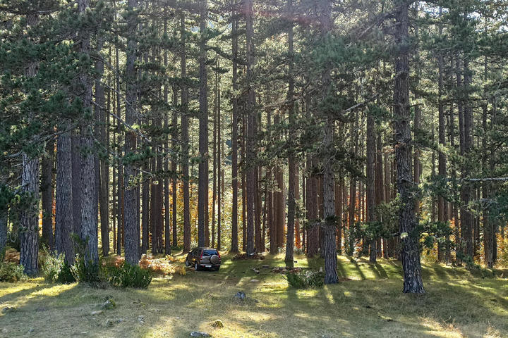 IMG 20201027 151441Site Gallery