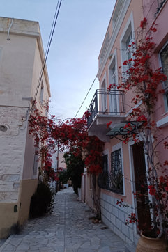 IMG 20250509 202940 Syros Walking Food Tour Site Gallery