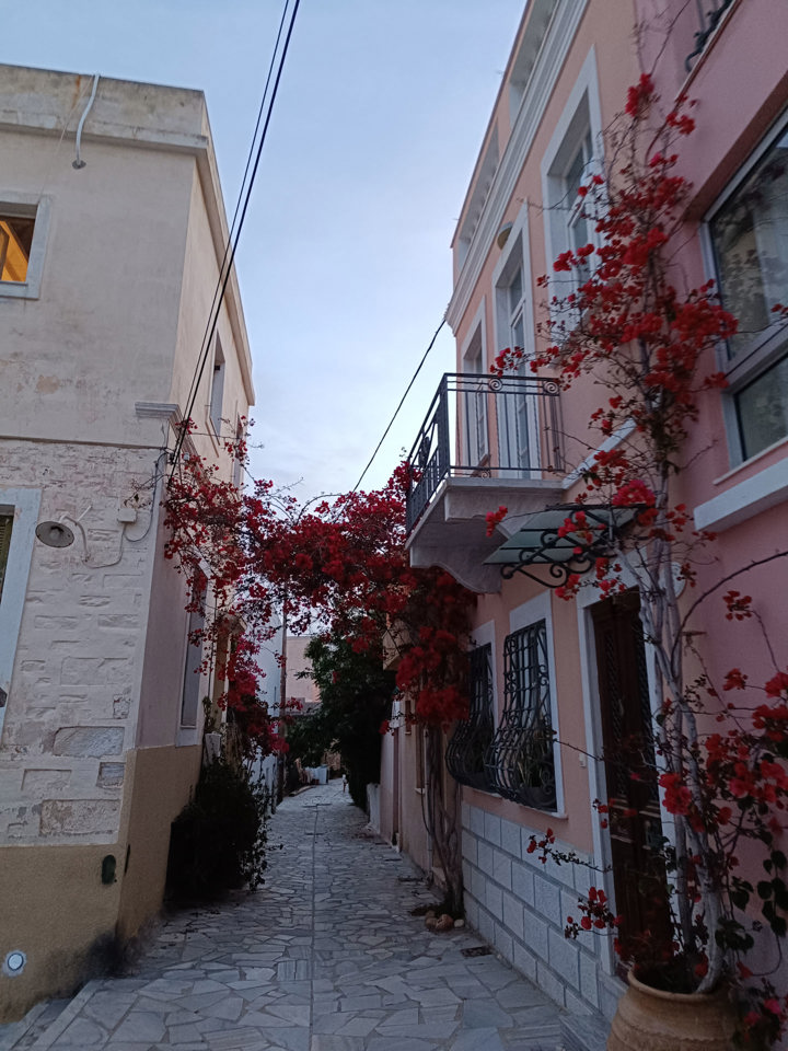 IMG 20250509 202940 Syros Walking Food Tour Site Gallery