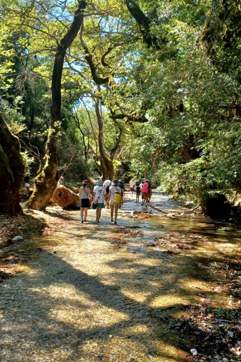 IMG 5551F4844ff14e9e5e8eec9ac683ba39 V