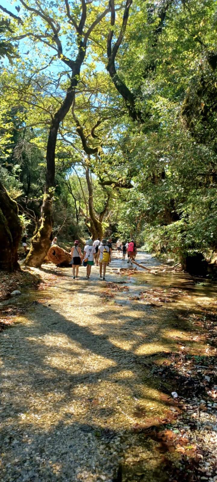 IMG 5551F4844ff14e9e5e8eec9ac683ba39 V