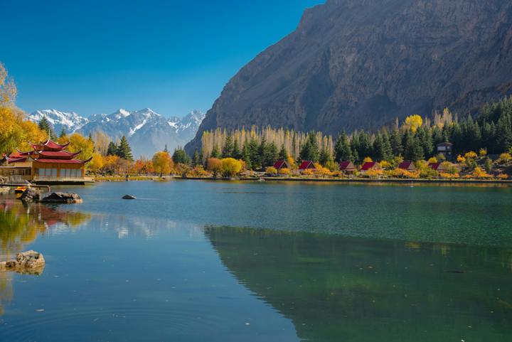 Pexels Wasifmehmood997 19442074