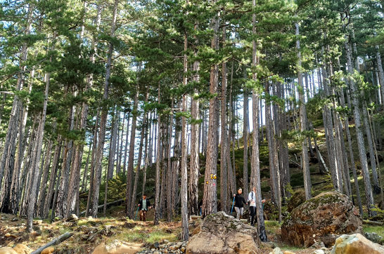 IMG 20201027 130713Site Gallery