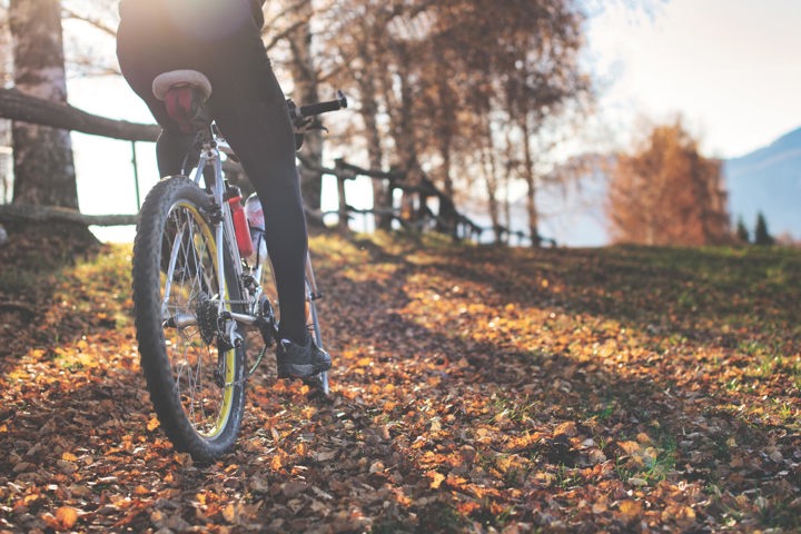 A Bike Ride In Autumn Original 1073861 Ebike Krania Milia Metsovo Sitegallery 1