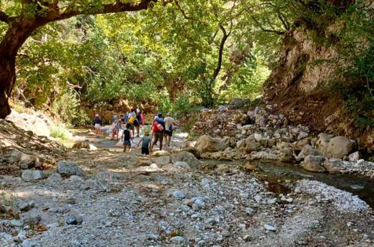 IMG 7B6edb47fc71f94885882eb81a2139d9 V