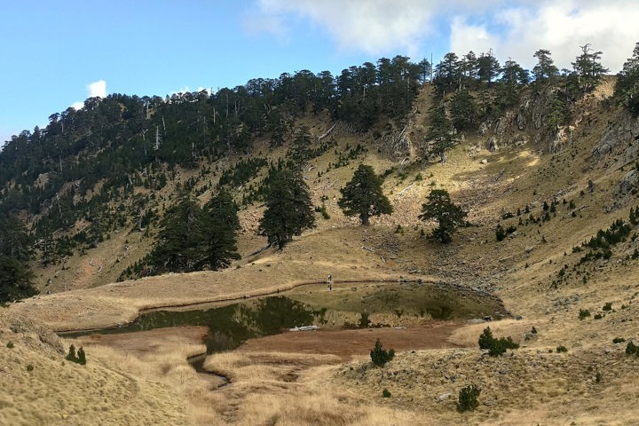 Img 20201101 133019Site Gallery Flega Verliga Limnes