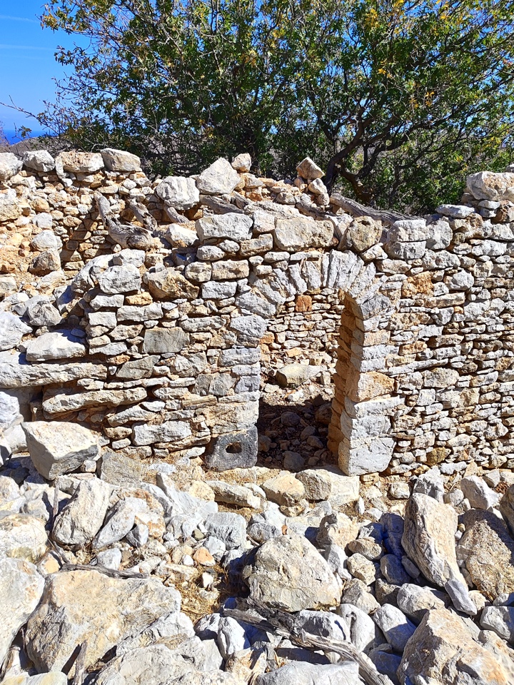 IMG 20241009 125518 TILOS