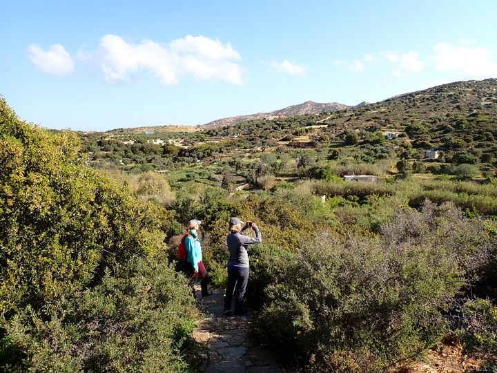P4090234 Naxos Hike Pente Xoria