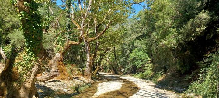 IMG 6Ae803012a7d70d1ce73db2a90e6b63c V