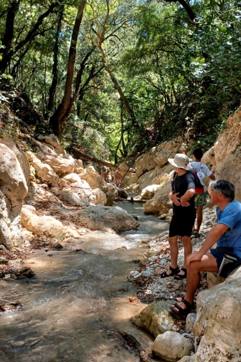 IMG B0d89203aff65117f577cce9f138f3cb V