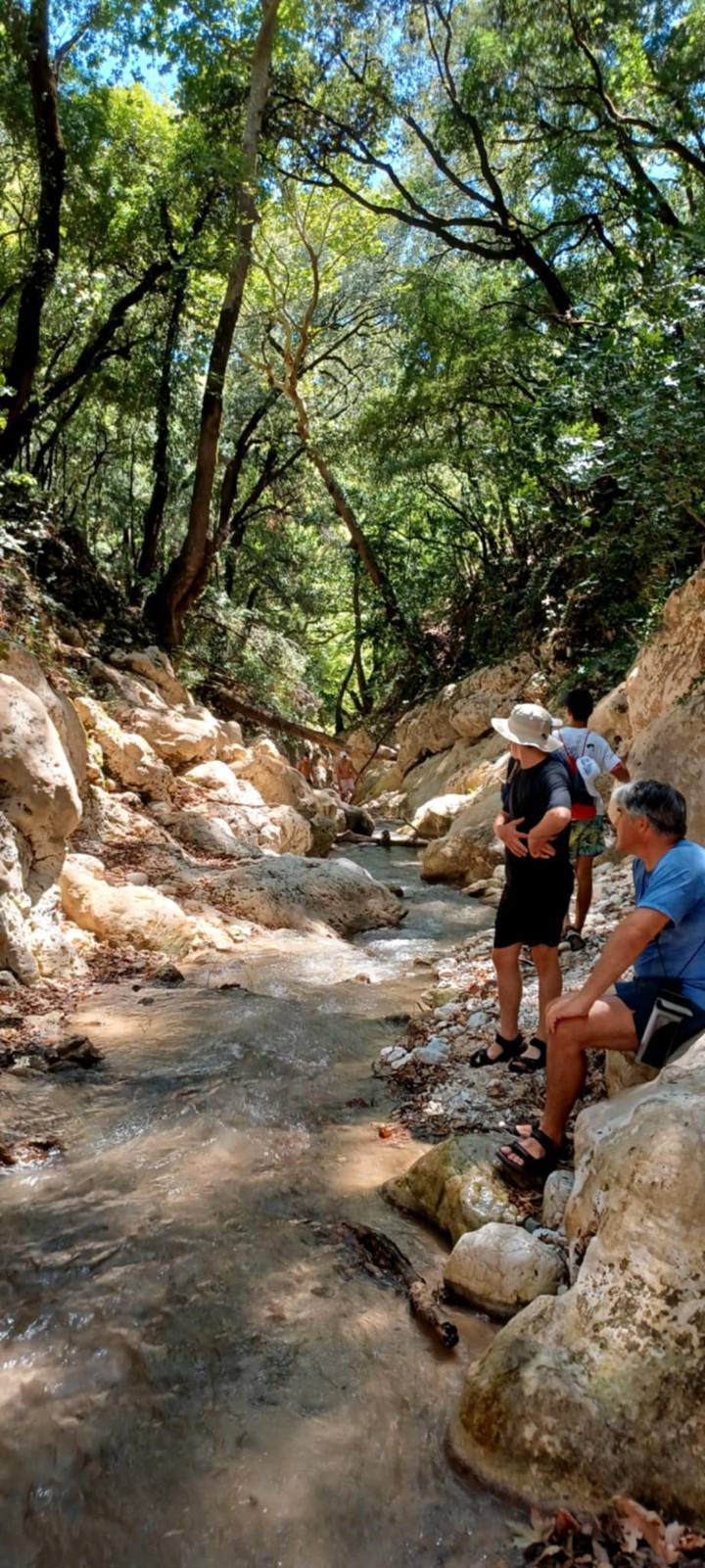 IMG B0d89203aff65117f577cce9f138f3cb V