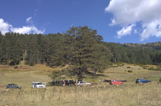 IMG 20190928 151023Site Gallery