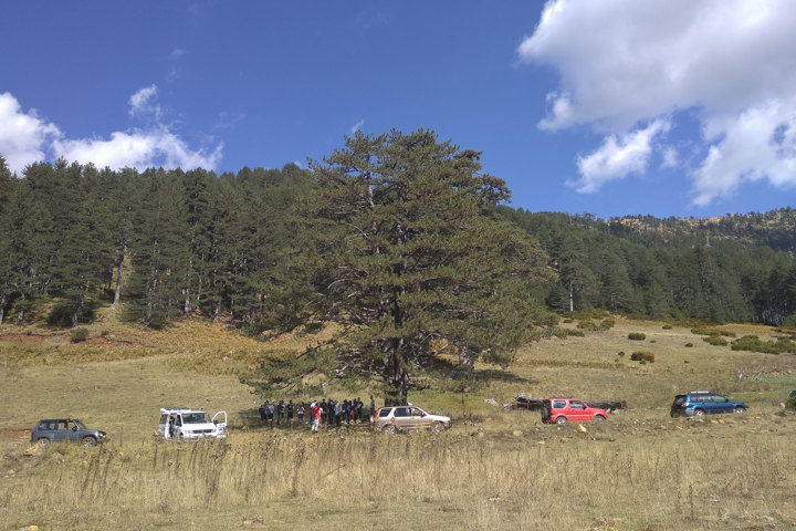 IMG 20190928 151023Site Gallery