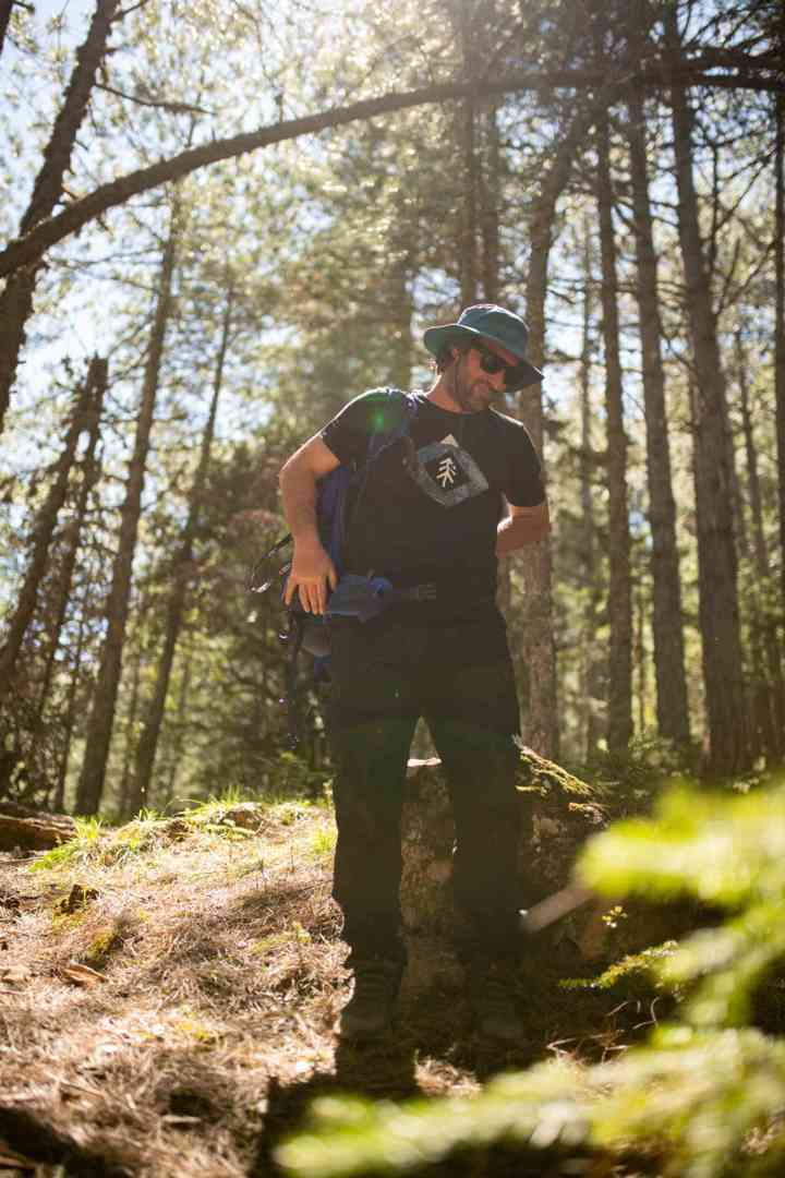 ONZ 4246