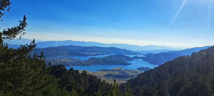 20230804 184516 01 01 Flega Verliga Limnes