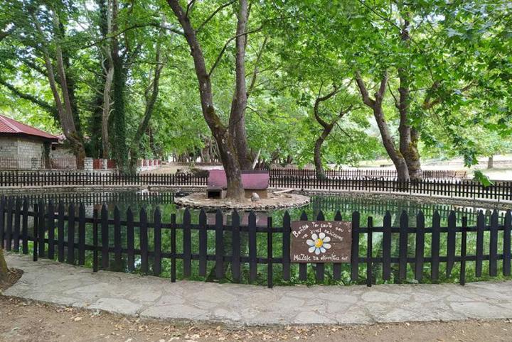 65124 KAFE – ESTIATORIA Parko Kefalobryso Koin S Eyrytaniki Kafe Estiatorio Karpenisi 215854240 1437769396579287 2317750270592329475 N (1)