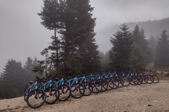 491501467 1197488905720628 5464464515841313160 N (1)