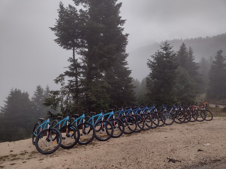 491501467 1197488905720628 5464464515841313160 N (1)