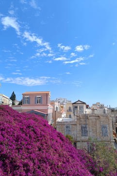IMG 20250404 121345 Syros Cultural Walking Tour Site Gallery