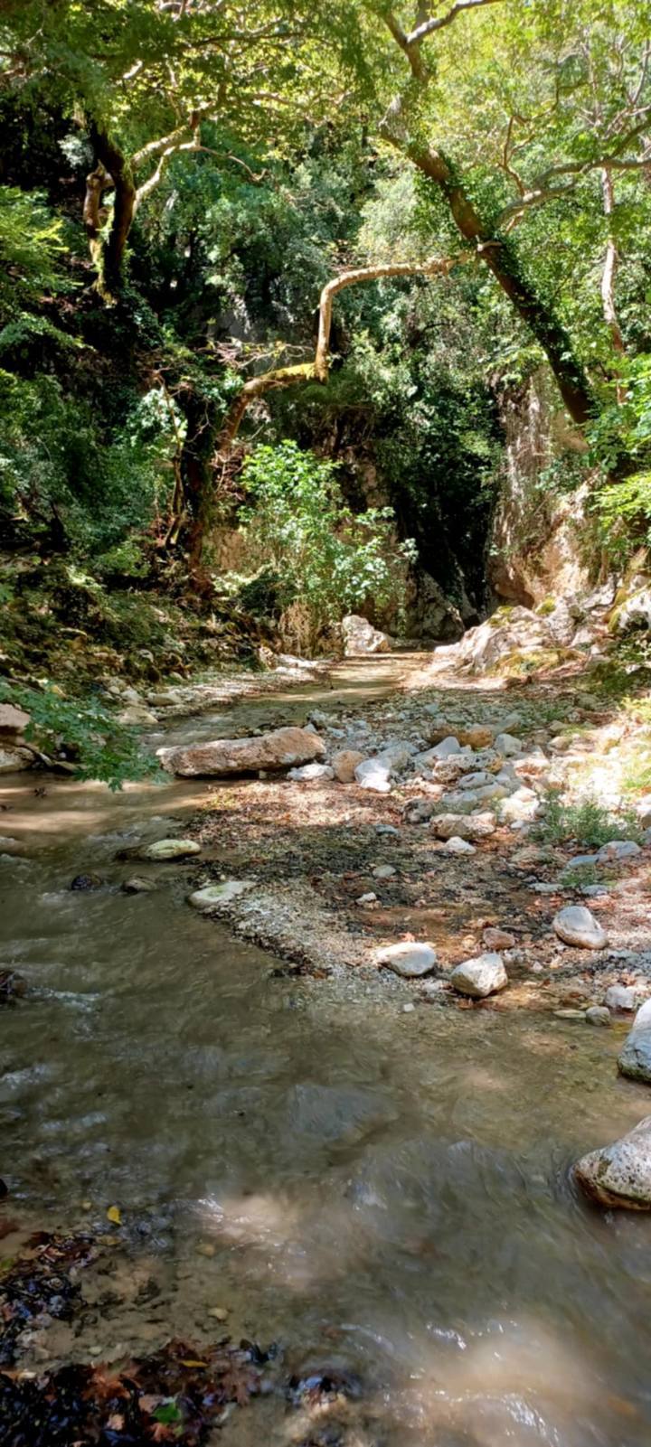 IMG 2F9db17371f4089edcda09fc3596bbbe V