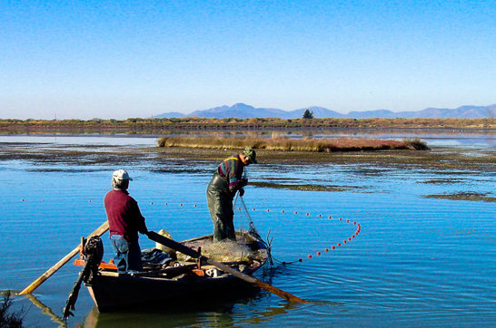 Canoe Amvrakikos 4Site Gallery