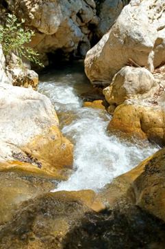 IMG 3Ddfc6e46ef97c3971a214749ca1a0be V