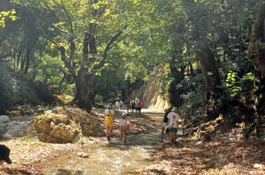 IMG 87Dface874128cb16c2463edb599e559 V