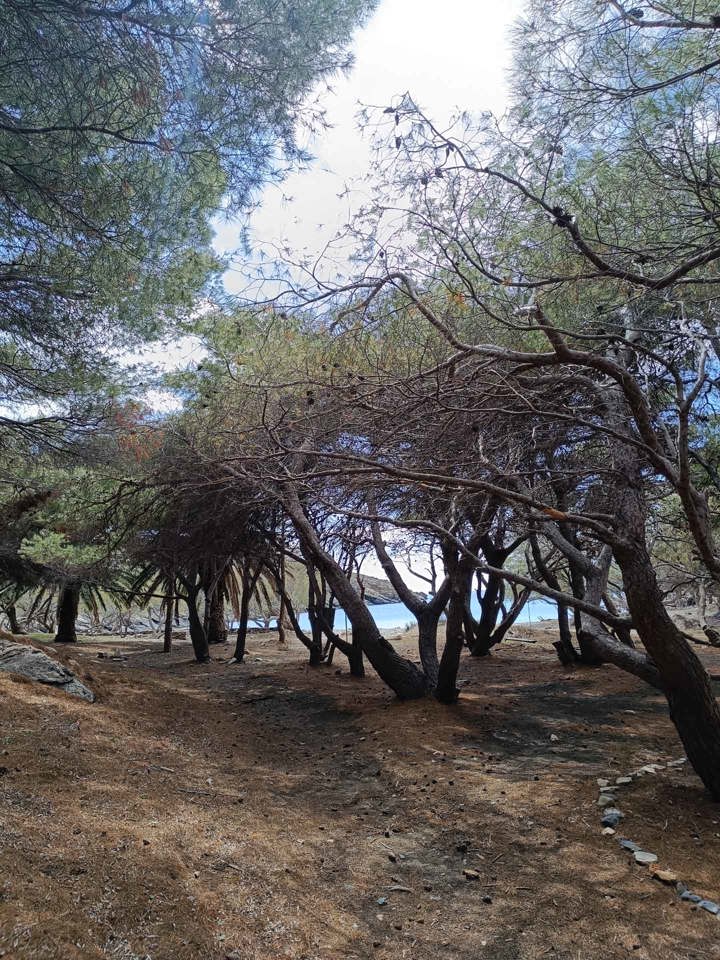 IMG 20250403 144207 Pezoporiki Exerevnisi Ano Meria Syros Site Gallery